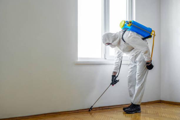 Best Mosquito Control Services  in North El Monte, CA